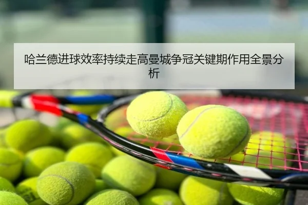 哈兰德进球效率持续走高曼城争冠关键期作用全景分析
